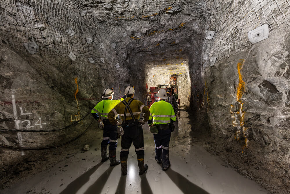 Realizujemy indywidualne potrzeby naszych klientów